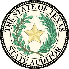 The State of Texas State Auditor